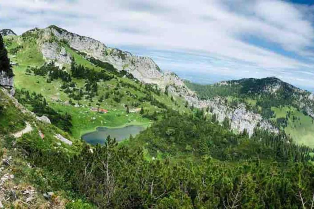 Topmodernes Studio - Sommer Im Bayerischen Inntal Браненбург Екстериор снимка